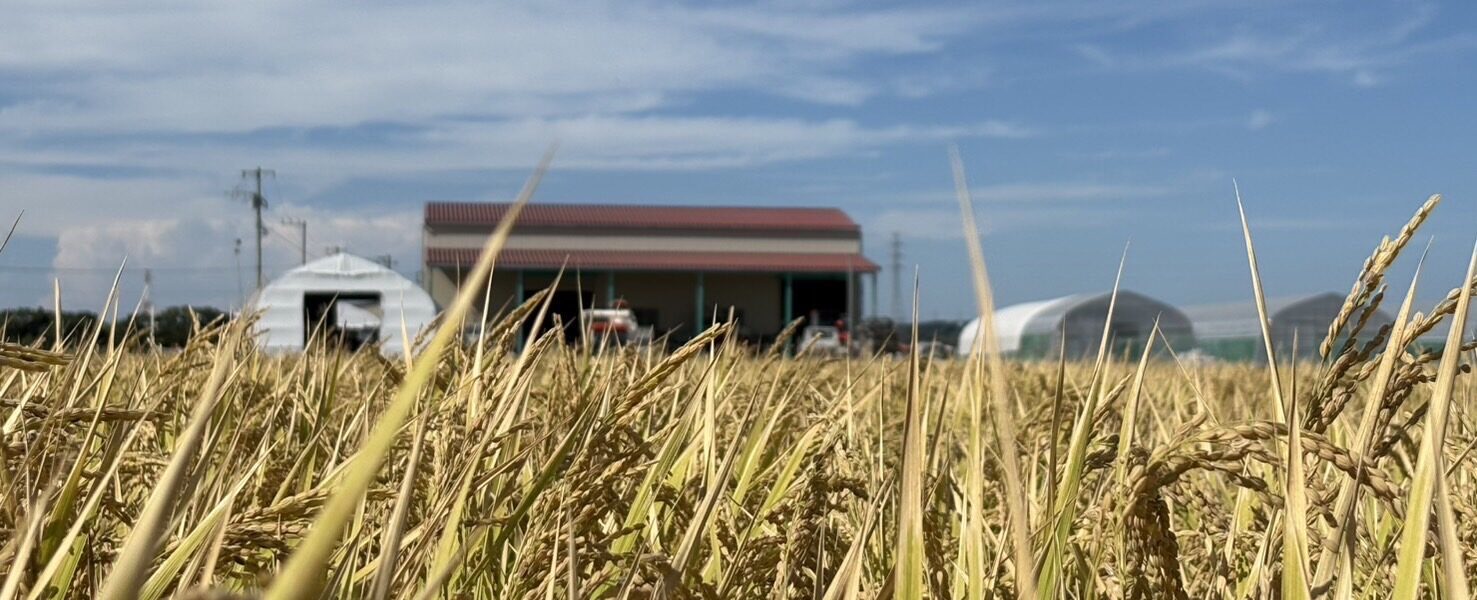 スライド１の代替テキスト